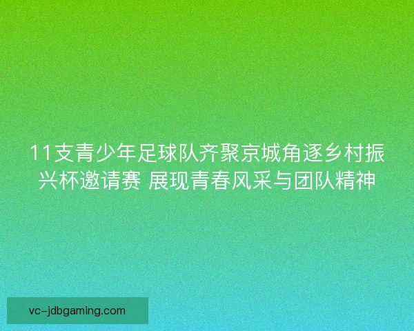 11支青少年足球队齐聚京城角逐乡村振兴杯邀请赛 展现青春风采与团队精神 11支青少年足球队齐聚京城角逐乡村振兴杯邀请赛 展现青春风采与团队精神