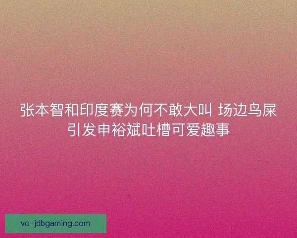 张本智和印度赛为何不敢大叫 场边鸟屎引发申裕斌吐槽可爱趣事